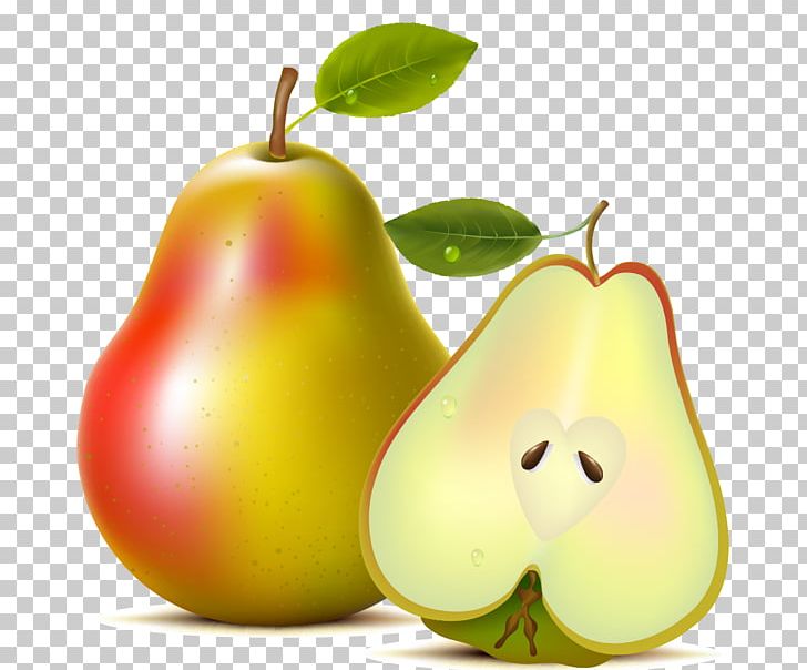 Asian Pear Fruit Williams Pear PNG, Clipart, Adobe Illustrator, Encapsulated Postscript, Food, Fruit Nut, Happy Birthday Vector Images Free PNG Download