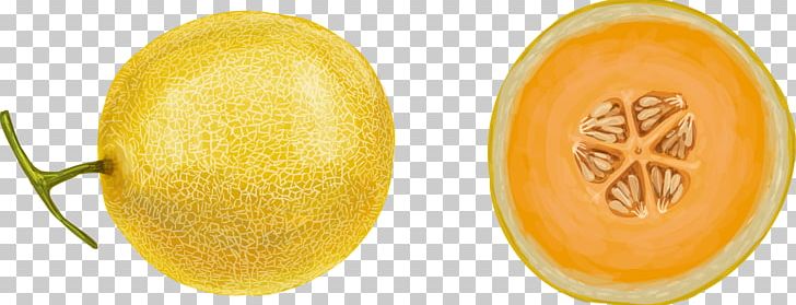 Juice Fruit Drawing Watercolor Painting PNG, Clipart, Cake, Cantaloupe, Citron, Citrus, Cucumber Gourd And Melon Family Free PNG Download