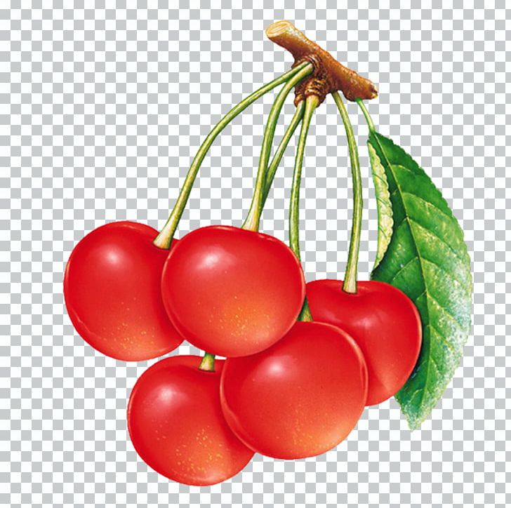 Sweet Cherry Sour Cherry PNG, Clipart, Bush Tomato, Candied Fruit, Cherries, Cherry, Cherry Blossom Free PNG Download