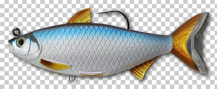 Swimbait Golden Shiner Soft Plastic Bait Fishing Baits & Lures PNG,  Clipart, Animal Figure, Bait Fish