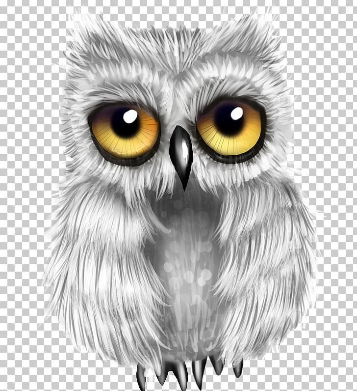 Great Grey Owl Bird Snowy Owl Drawing PNG, Clipart, Animals, Animation, Bea, Beak, Bird Free PNG Download