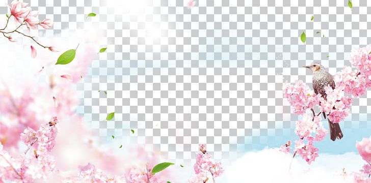 Poster Spring PNG, Clipart, Art, Background Vector, Beauty, Blossom, Blossoms Free PNG Download