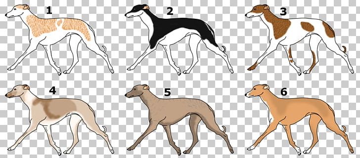 Spanish Greyhound Italian Greyhound Sloughi Whippet PNG, Clipart, 08626, Animal, Animal Figure, Animal Sports, Antelope Free PNG Download