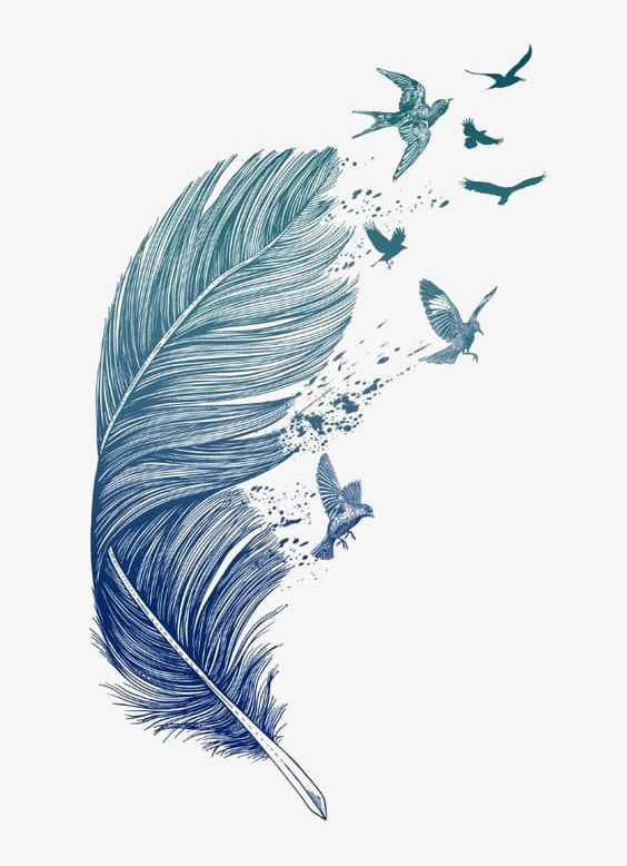 Blue Feather PNG, Clipart, Animal, Animal Wing, Backgrounds, Bird, Blue Free PNG Download