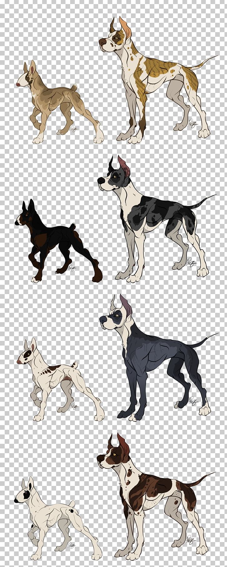 Dog Breed Whippet Crossbreed 08626 PNG, Clipart, Breed, Carnivoran, Crossbreed, Dog, Dog Breed Free PNG Download