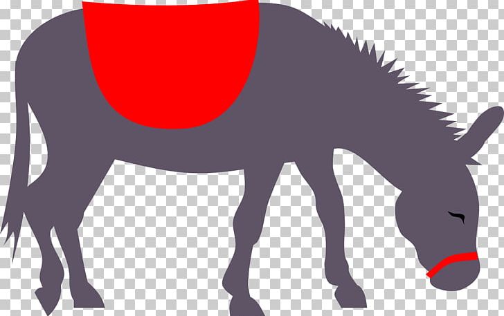 Donkey Mule PNG, Clipart, Animals, Colt, Desktop Wallpaper, Donkey, Download Free PNG Download