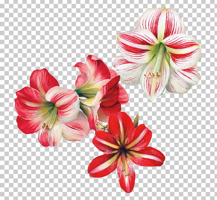 Flower Painting Decoupage Art PNG, Clipart, Amaryllis Belladonna, Amaryllis Family, Art, Cut Flowers, Decoupage Free PNG Download