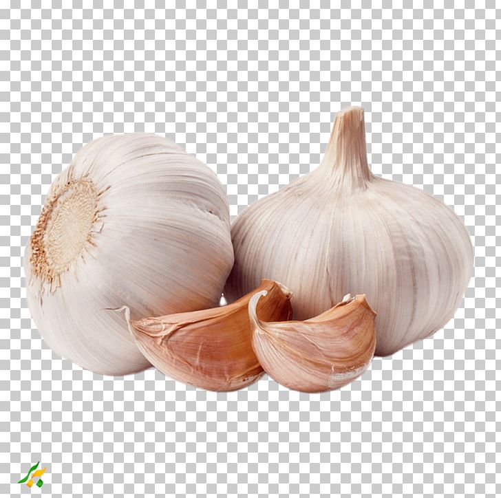 Garlic Shallot Vegetable Spice Food PNG, Clipart, Dish, Elephant Garlic, Food, Garlic, Garlic Salt Free PNG Download