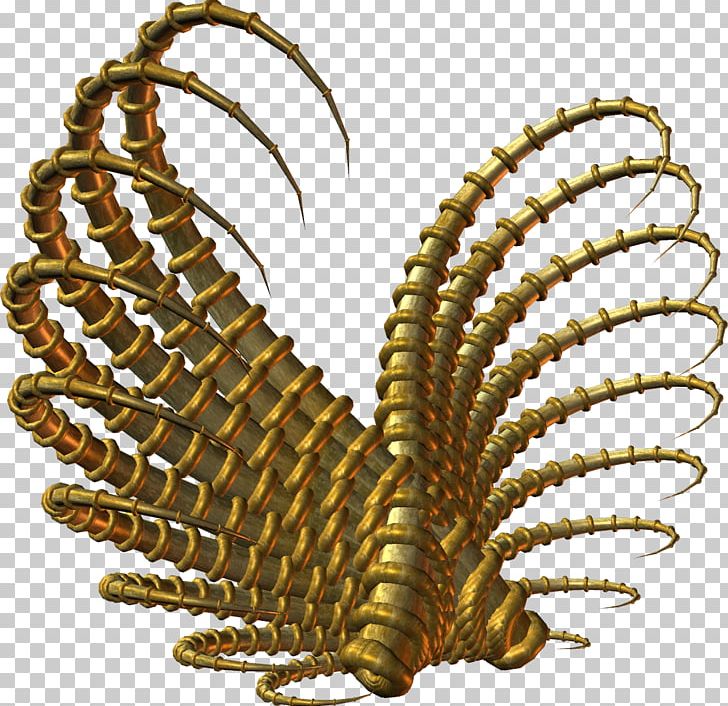 Invertebrate PNG, Clipart, Elf, Feather, Invertebrate, Miscellaneous, Others Free PNG Download