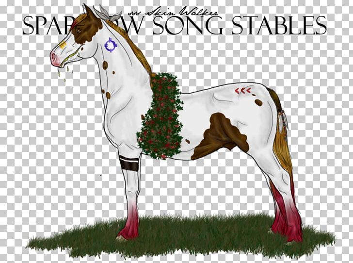 Pony Mustang Stallion Foal Colt PNG, Clipart, Birthday, City, Colt, Dumbbell, Foal Free PNG Download