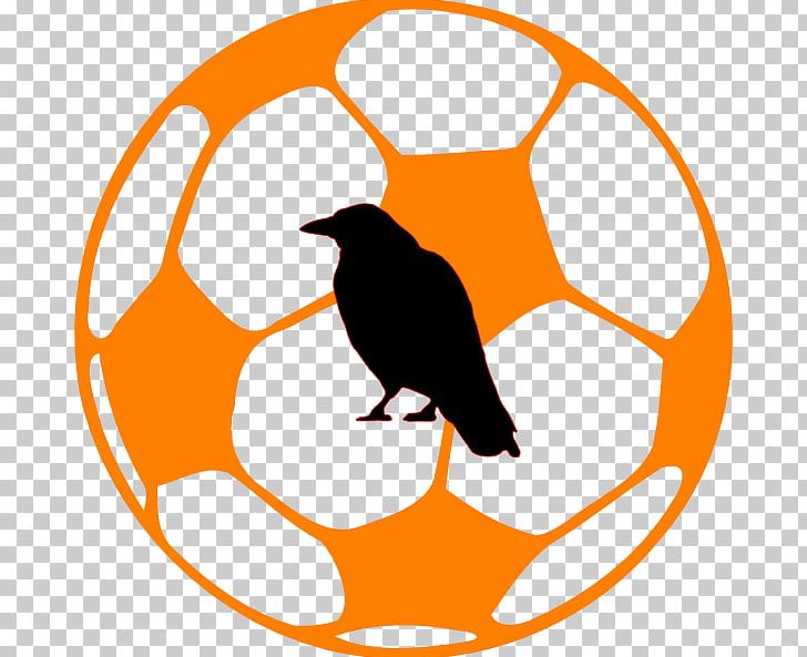 Football Desktop PNG, Clipart, Artwork, Ball, Beak, Bird, Clip Free PNG Download