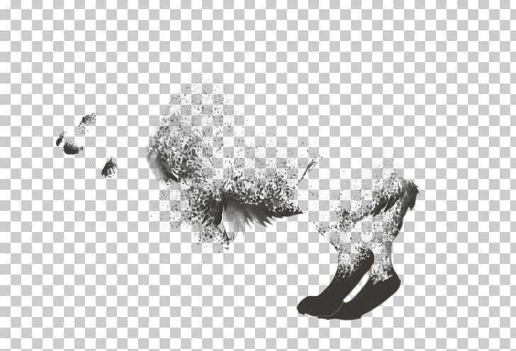 Dog Sheep Snout PNG, Clipart, Animals, Black And White, Carnivoran, Dog, Dog Like Mammal Free PNG Download