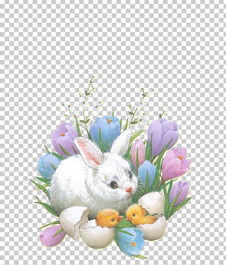 Easter Bunny Happiness Happy Easter PNG, Clipart, Animals, Cartoon, Christmas, Easter, Easter Customs Free PNG Download