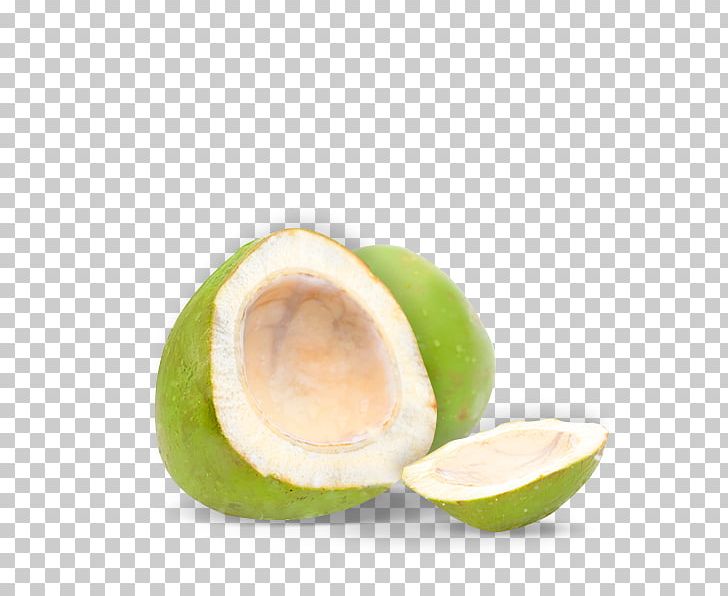Coconut Water Juice Avocado Cocktail Fruit PNG, Clipart, Auglis, Avocado, Cocktail, Coconut, Coconut Water Free PNG Download