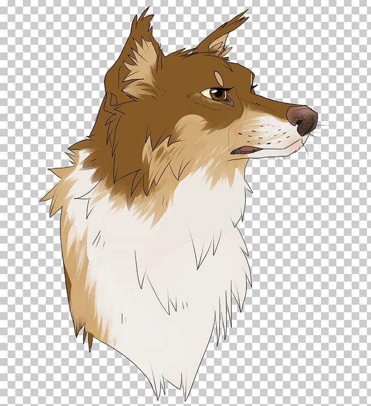 Dog Breed Red Fox Rough Collie Whiskers Snout PNG, Clipart, Breed, Carnivoran, Cartoon, Character, Collie Free PNG Download