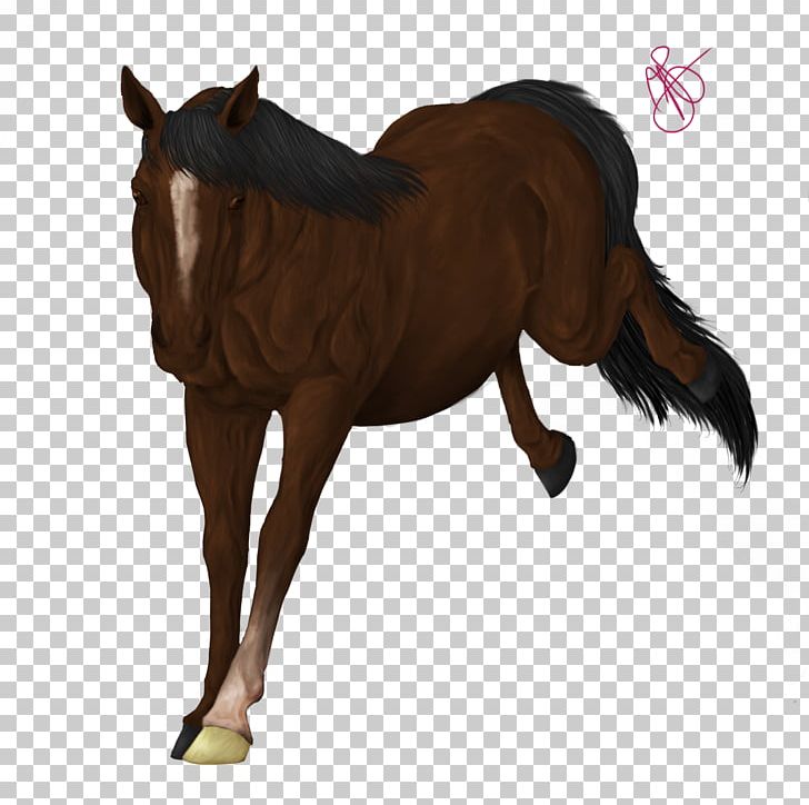 Foal Mane Mustang Rein Stallion PNG, Clipart, 4 Ever, Black Pearl, Bridle, Colt, Ever Free PNG Download