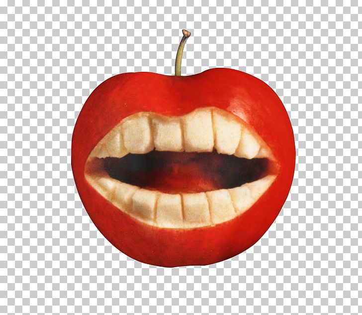Tooth Apple PNG, Clipart, Apple, Fruit, Fruit Nut, Jaw, Lip Free PNG Download