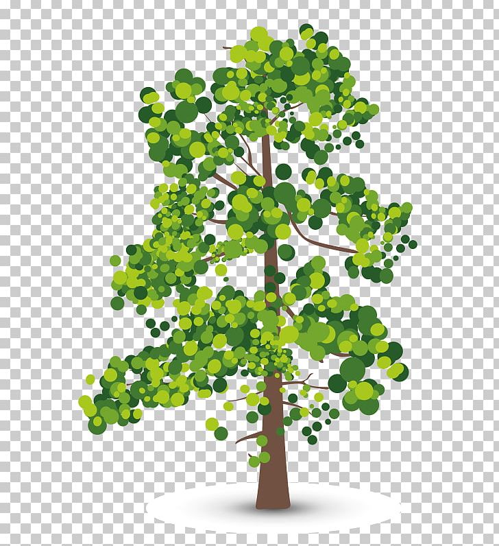 Tree Shadow Aspen PNG, Clipart, Aspen, Branch, Christmas Tree, Drawing, Forest Free PNG Download
