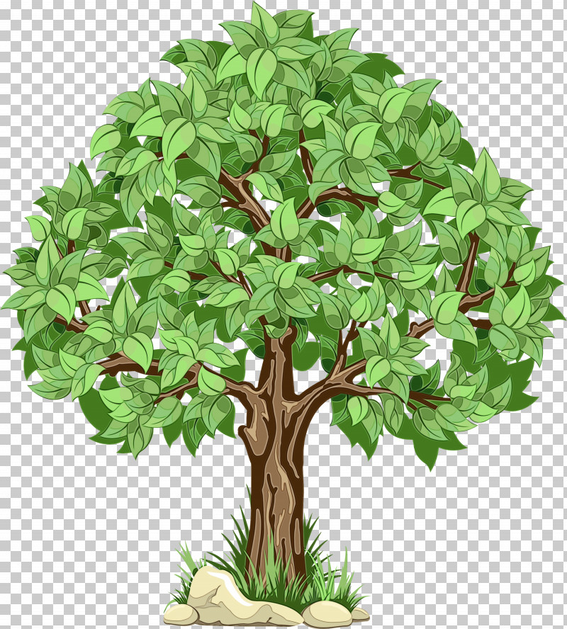 Palm Trees PNG, Clipart, Bonsai, Branch, Chinese Sweet Plum, Flower, Flowerpot Free PNG Download
