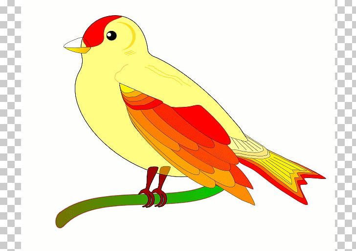 Bird Flight Animation PNG, Clipart, Animated Bird Cliparts, Animation, Art, Artwork, Beak Free PNG Download