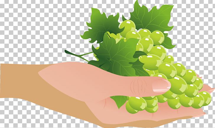 Grape Raisin PNG, Clipart, Auglis, Christmas Decoration, Decor, Decoration, Decoration Design Free PNG Download