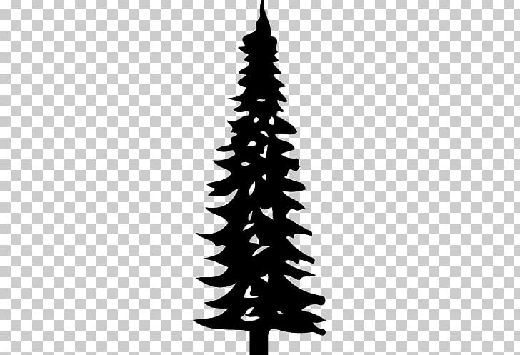 Spruce Christmas Tree Christmas Ornament Malaysia Pine PNG, Clipart, Black And White, Branch, Burma, Christmas, Christmas Decoration Free PNG Download