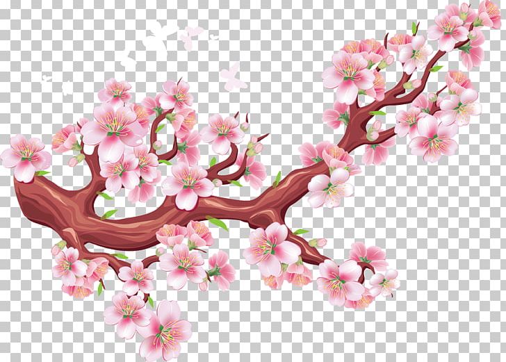 Cherry Blossom Bird Tree Wall Decal PNG, Clipart, Bird, Blossom, Branch, Cherry, Cherry Blossom Free PNG Download