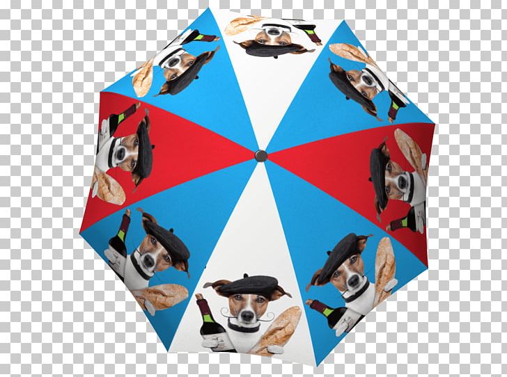 La Bella Umbrella Gift Shop PNG, Clipart, Art, Box, Creative, Designer, Gift Free PNG Download