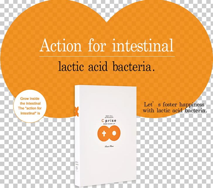 Lactobacillales 乳酸菌 Dietary Supplement Lactic Acid Bacteria PNG, Clipart, Absorb, Adjust, Bacteria, Brand, Dairy Products Free PNG Download