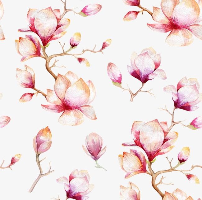 Pink Flowers Shading PNG, Clipart, Decoration, Flowers, Flowers Clipart, Orchid, Orchid Shading Free PNG Download