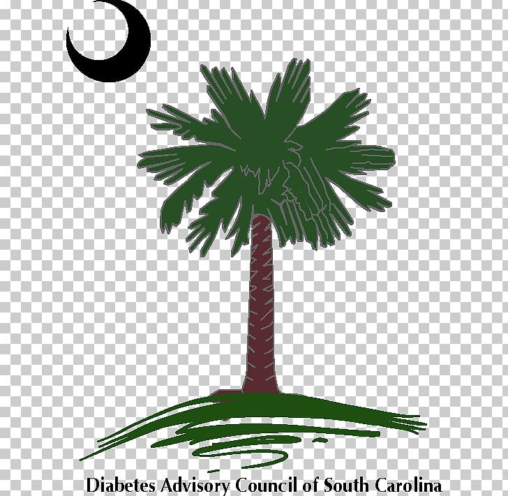 Sabal Palm Arecaceae Flag Of South Carolina Decal PNG, Clipart, Arecaceae, Arecales, Borassus Flabellifer, Crescent, Date Palm Free PNG Download