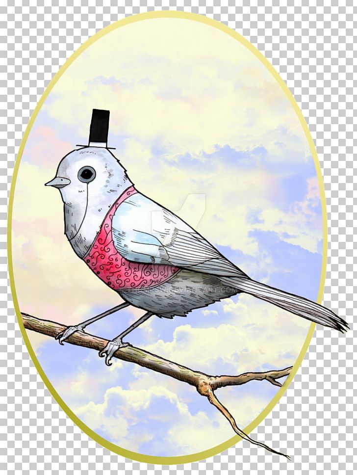 Finch Beak Chickadee Feather PNG, Clipart, Animals, Beak, Bird, Branch, Chickadee Free PNG Download