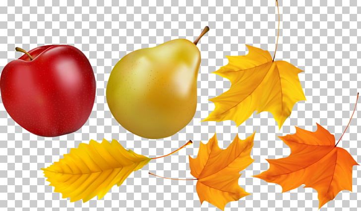 Fruit Computer PNG, Clipart, Apple, Apple Fruit, Apple Logo, Apple Tree, Basket Of Apples Free PNG Download