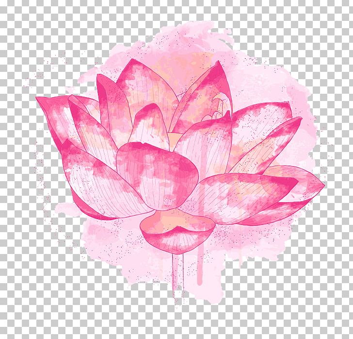 Nelumbo Nucifera Plant Symbolism Flower Meaning PNG, Clipart, Buddhism, Color, Cut Flowers, Definition, Flowering Plant Free PNG Download