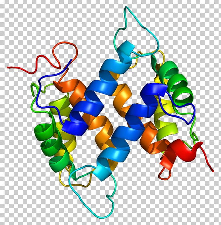 S100A13 S100 Protein HMGB1 DNA-binding Protein PNG, Clipart, Binding Protein, Body Jewelry, Calciumbinding Protein, Dna, Dnabinding Protein Free PNG Download