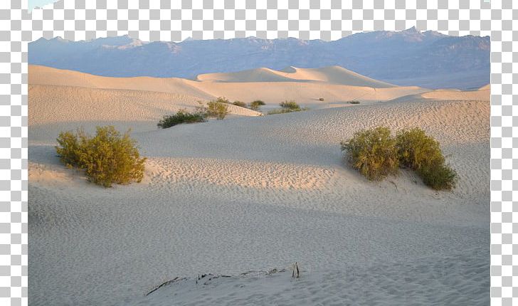 Sahara Deserts Of California Sand Aeolian Landform PNG, Clipart, Aeolian Landform, Arizona Desert, Desert, Deserted, Desert Plants Free PNG Download