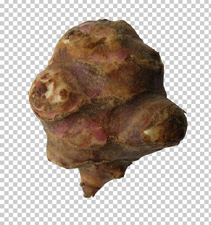 Tuber Snout PNG, Clipart, Animal Source Foods, Others, Pigs Ear, Rock, Rutabaga Free PNG Download