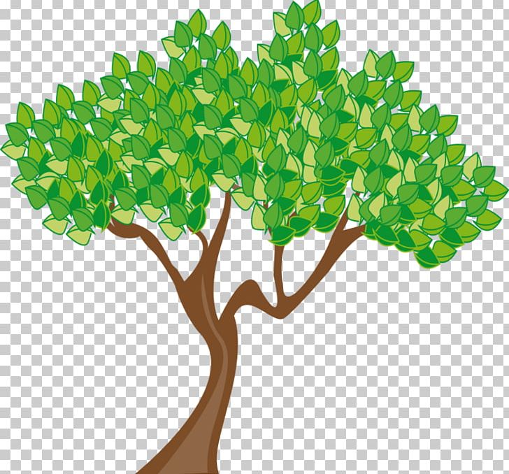 Tree Summer PNG, Clipart, Animation, Bing, Branch, Cartoon, Deciduous Free PNG Download