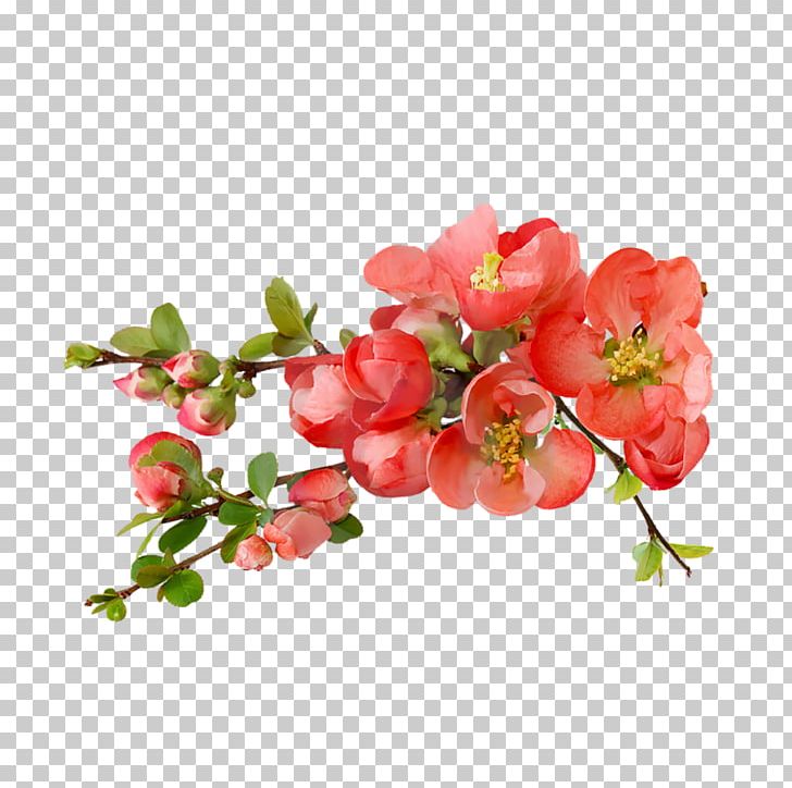 Flower Bouquet Good Rose God PNG, Clipart, Artificial Flower, Blossom, Bones, Branch, Bud Free PNG Download