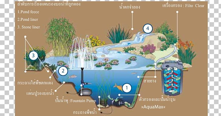 Garden Pond Architectural Engineering Aquatic Plants PNG, Clipart, 2000 Ad, Aquatic Plants, Architectural Engineering, Constructed Wetland, Diagram Free PNG Download