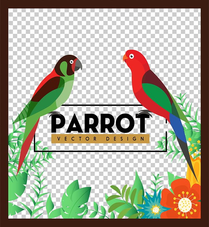 Parrot Bird Adobe Illustrator PNG, Clipart, Advertising, Animals, Area, Banana Leaves, Beak Free PNG Download