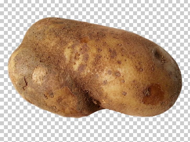 Russet Burbank Potato Yukon Gold Potato STX EUA 800 F.SV.PR USD Yam Tuber PNG, Clipart, Food, Greeting Note Cards, Mahlzeit, Others, Potato Free PNG Download