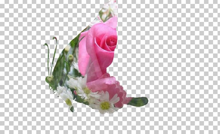 Garden Roses Cabbage Rose Cut Flowers Mat Floral Design PNG, Clipart, Artificial Flower, Avec, Bathroom, Carpet, Crea Free PNG Download
