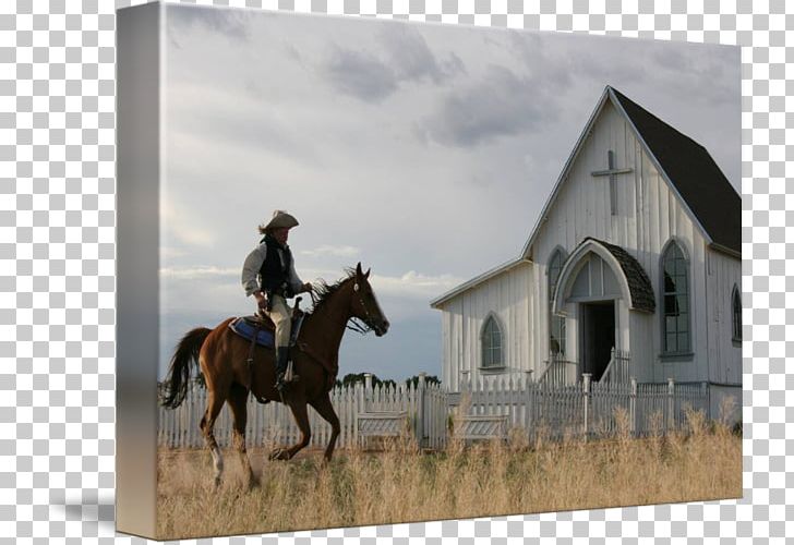 Happy Trails Cafe Horse Video On Demand Faith Business PNG, Clipart, Authority, Barn, Belief, Bridle, Business Free PNG Download