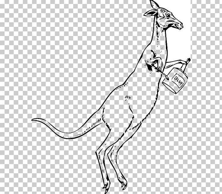Macropods Kangaroo Cartoon Drawing PNG, Clipart, Animal Figure, Arm, Artwork, Beak, Black And White Free PNG Download