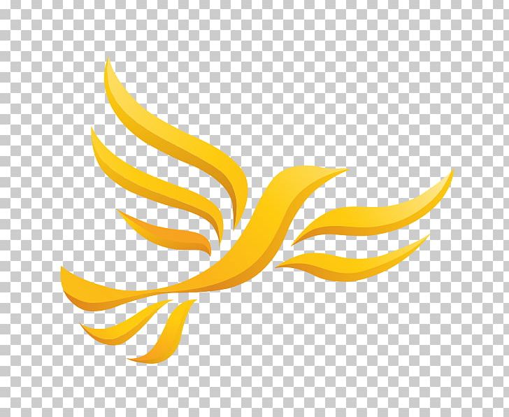 Wales Welsh Liberal Democrats Liberalism Maidstone And The Weald PNG, Clipart, Banana Family, Dem, Election, Food, Fruit Free PNG Download