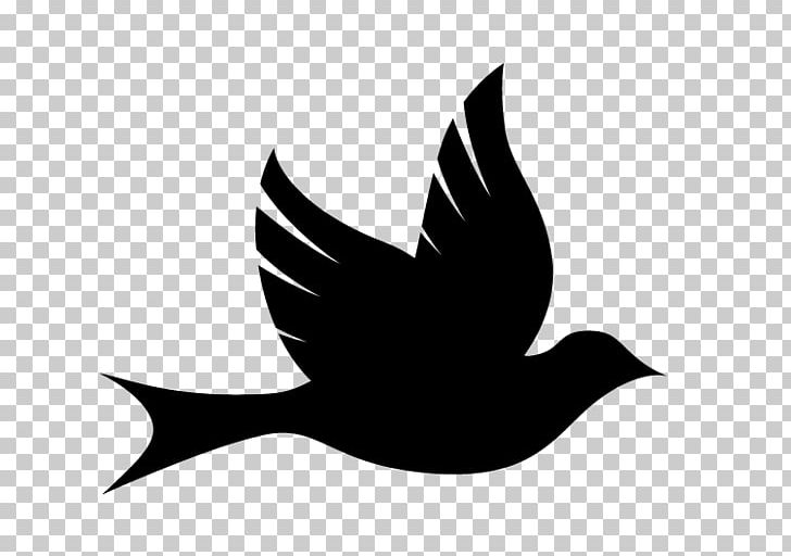 Bird Healing Health Logo PNG, Clipart, Beak, Bird, Black And White, Color, Creative Promotions Free PNG Download