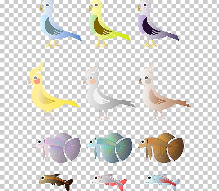 Bird Siamese Fighting Fish Budgerigar PNG, Clipart, Animal Figure, Animals, Beak, Bird, Bird Nest Free PNG Download