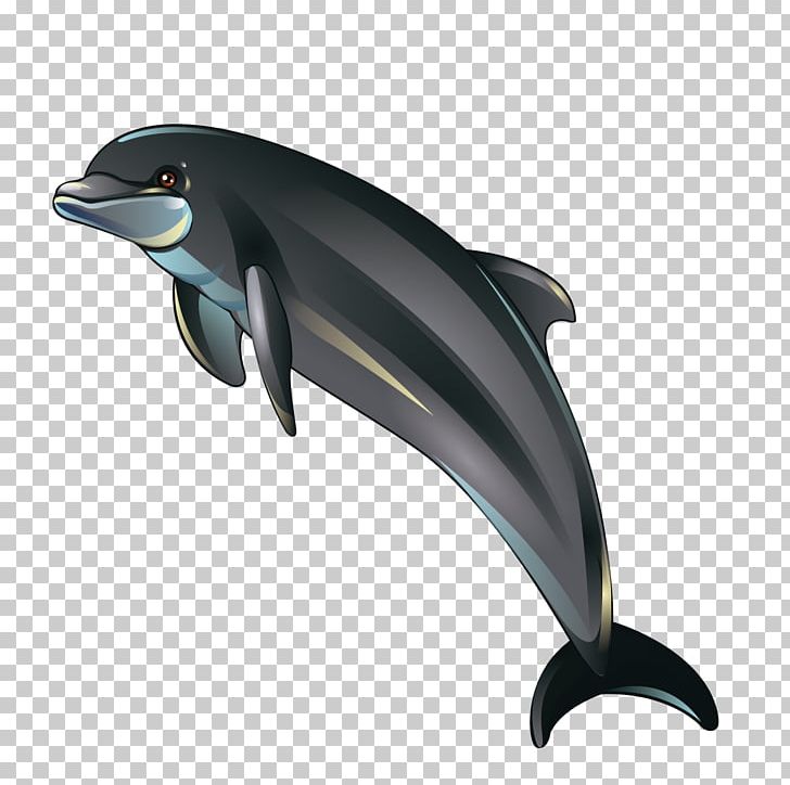 Dolphin Cartoon Illustration PNG, Clipart, Animals, Automotive Design, Balloon Cartoon, Beak, Boy Cartoon Free PNG Download