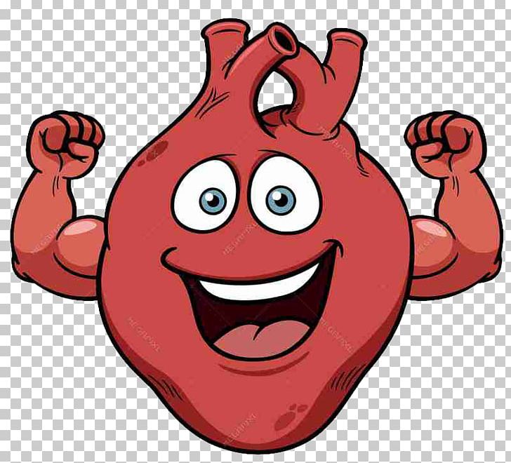 Heart Human Body PNG, Clipart, Anatomy, Cardiac Muscle ...